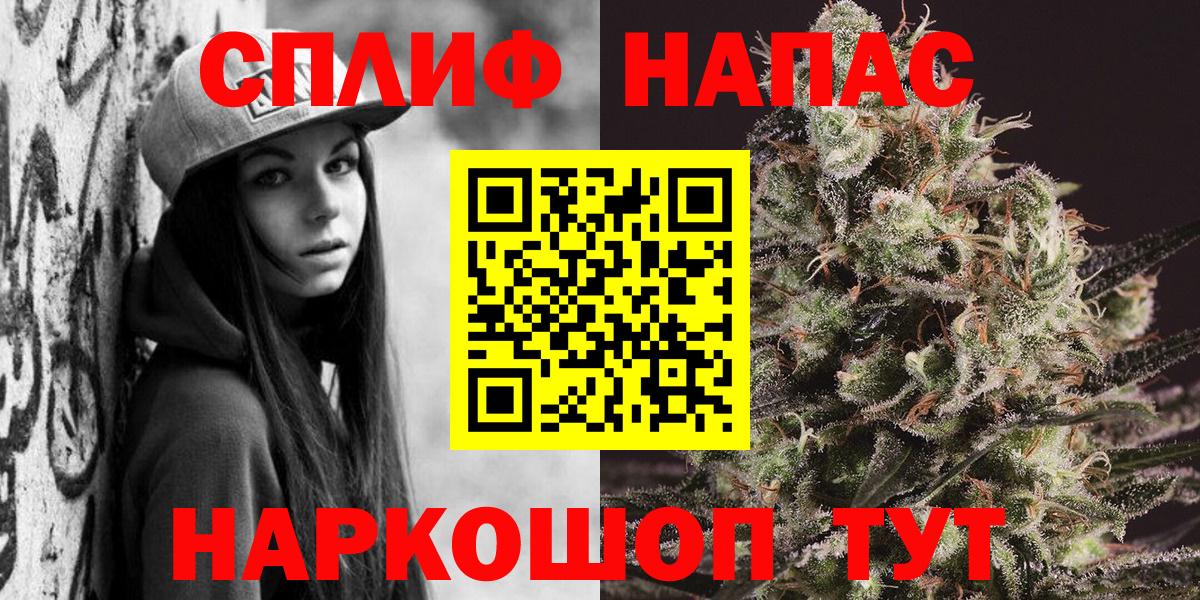 Бошки Шишки план  Вход с VPN  Бошки марихуана план  Братск  Каннабис план 